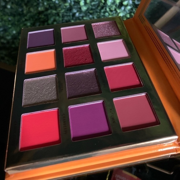 Ace Beaute FALLING FOR YOU Eyeshadow Palette | NEW - Picture 5 of 9